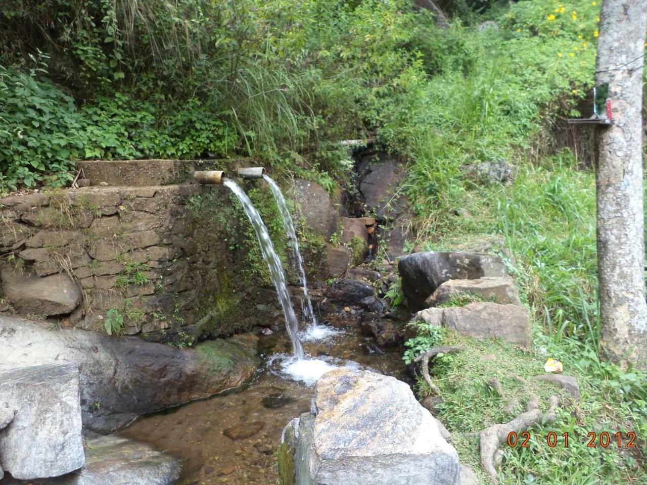 Mount View Family Rest & Cottage Haputale Ngoại thất bức ảnh